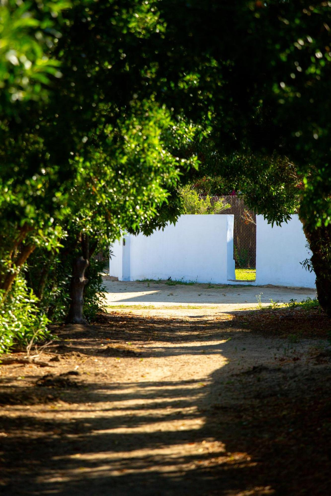 Casara Seis O Casara Siete - Tu Casa A 100M De La Playa De Zahora Pensionat Exteriör bild