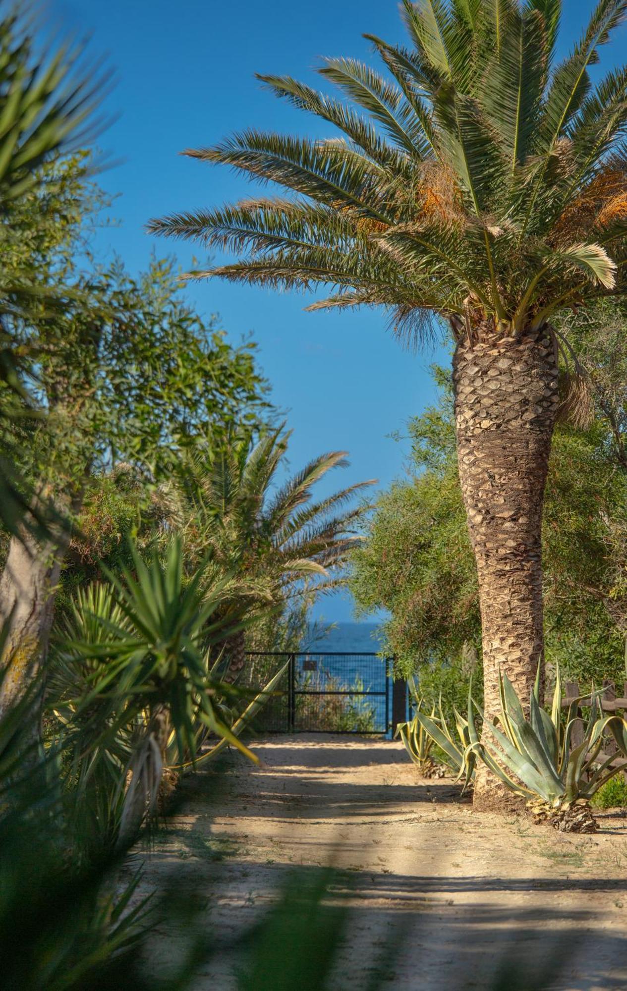 Casara Seis O Casara Siete - Tu Casa A 100M De La Playa De Zahora Pensionat Exteriör bild