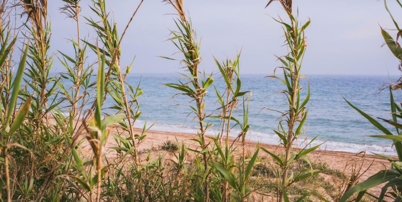 Casara Seis O Casara Siete - Tu Casa A 100M De La Playa De Zahora Pensionat Exteriör bild