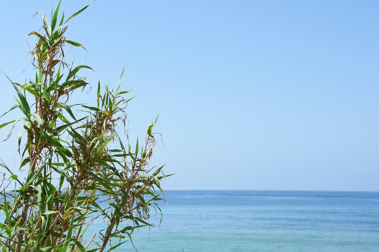 Casara Seis O Casara Siete - Tu Casa A 100M De La Playa De Zahora Pensionat Exteriör bild