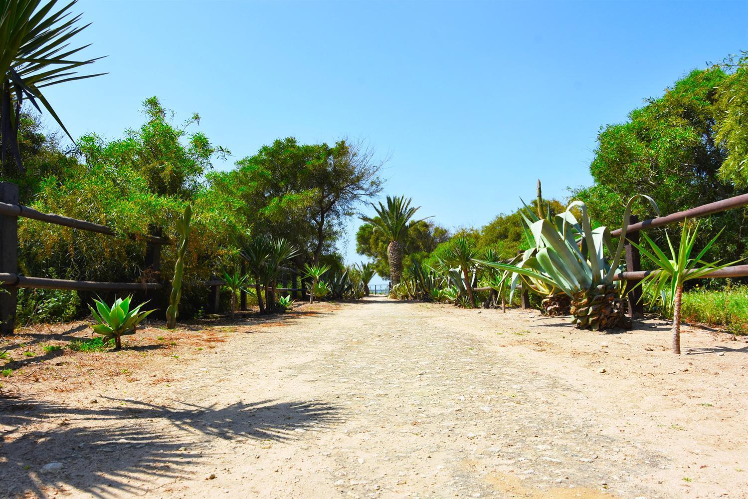 Casara Seis O Casara Siete - Tu Casa A 100M De La Playa De Zahora Pensionat Exteriör bild