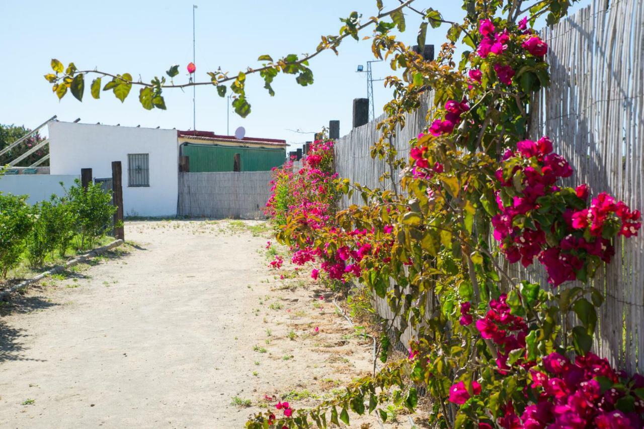 Casara Seis O Casara Siete - Tu Casa A 100M De La Playa De Zahora Pensionat Exteriör bild