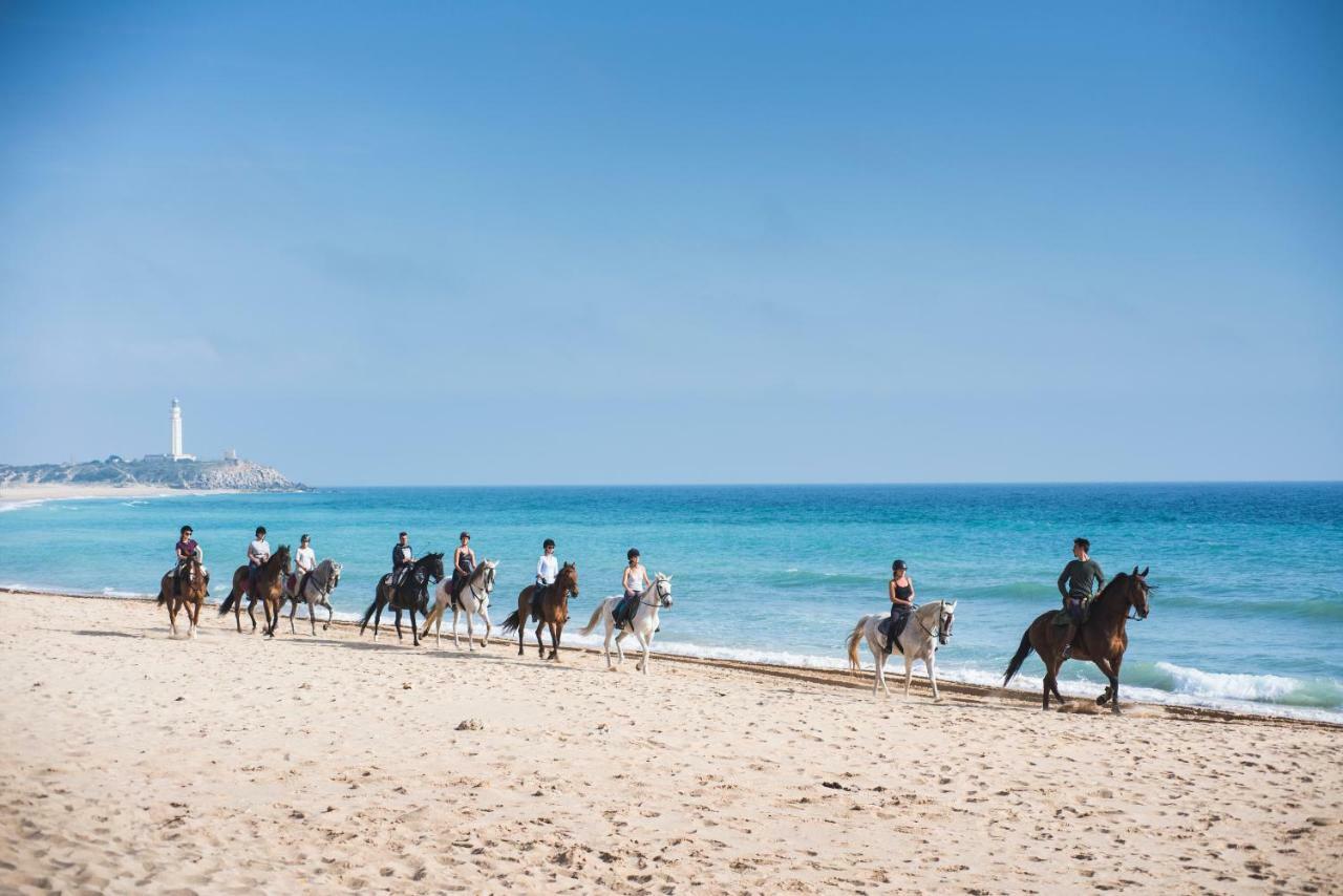 Casara Seis O Casara Siete - Tu Casa A 100M De La Playa De Zahora Pensionat Exteriör bild